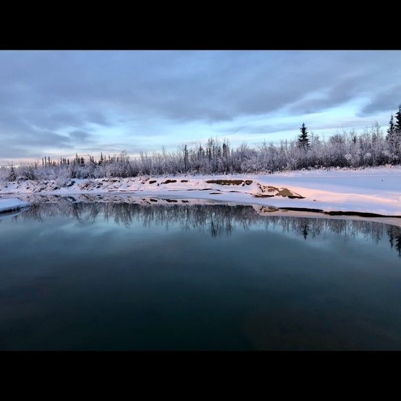 Meet your Posher, Posh - Picture 7 of 9